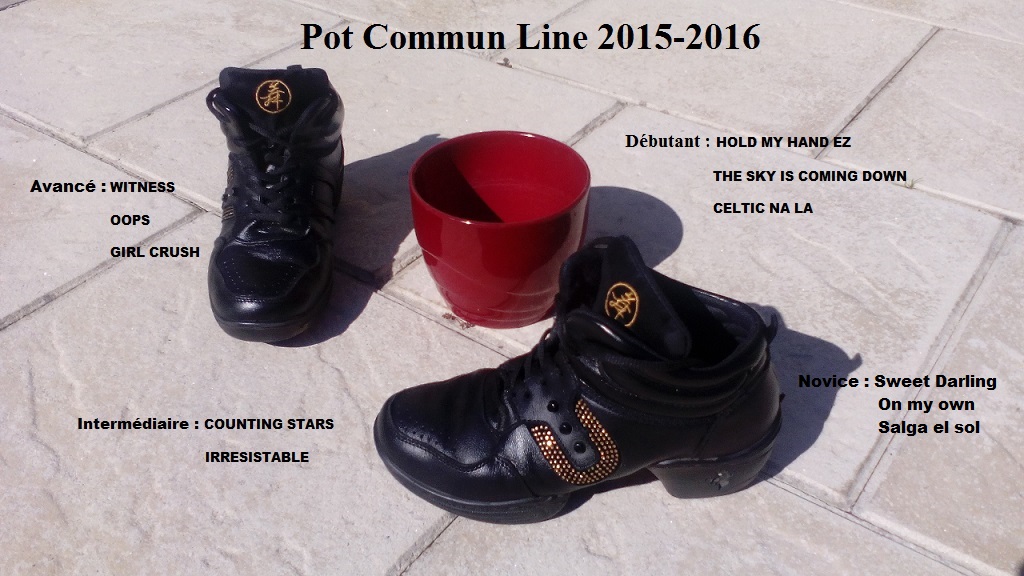 2015 2016 pot commun line